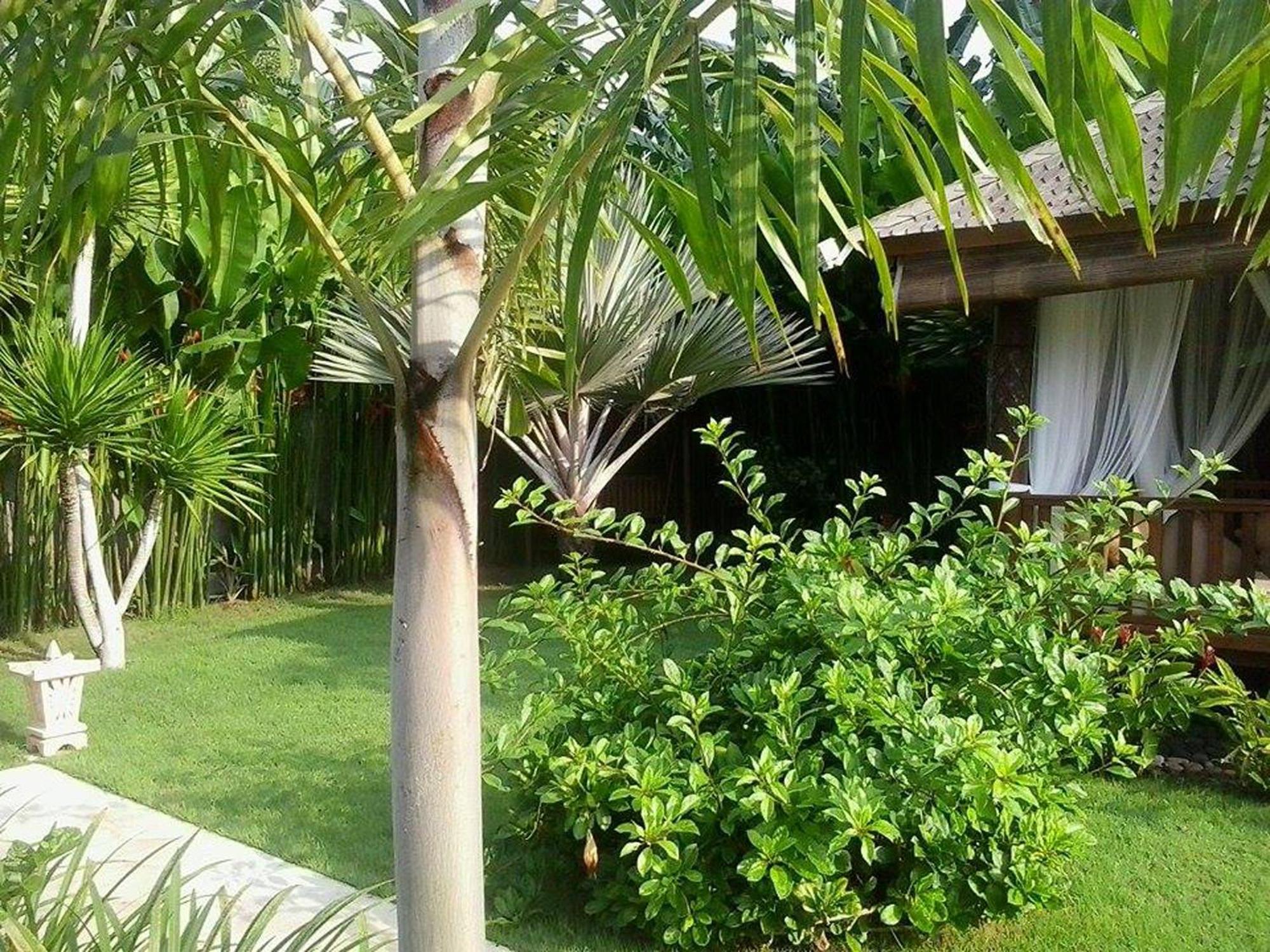 Villa Gusmania Candidasa Rom bilde